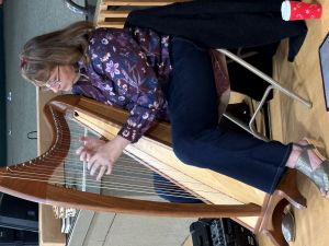 Harpist