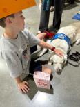 child with Comfort Dogs